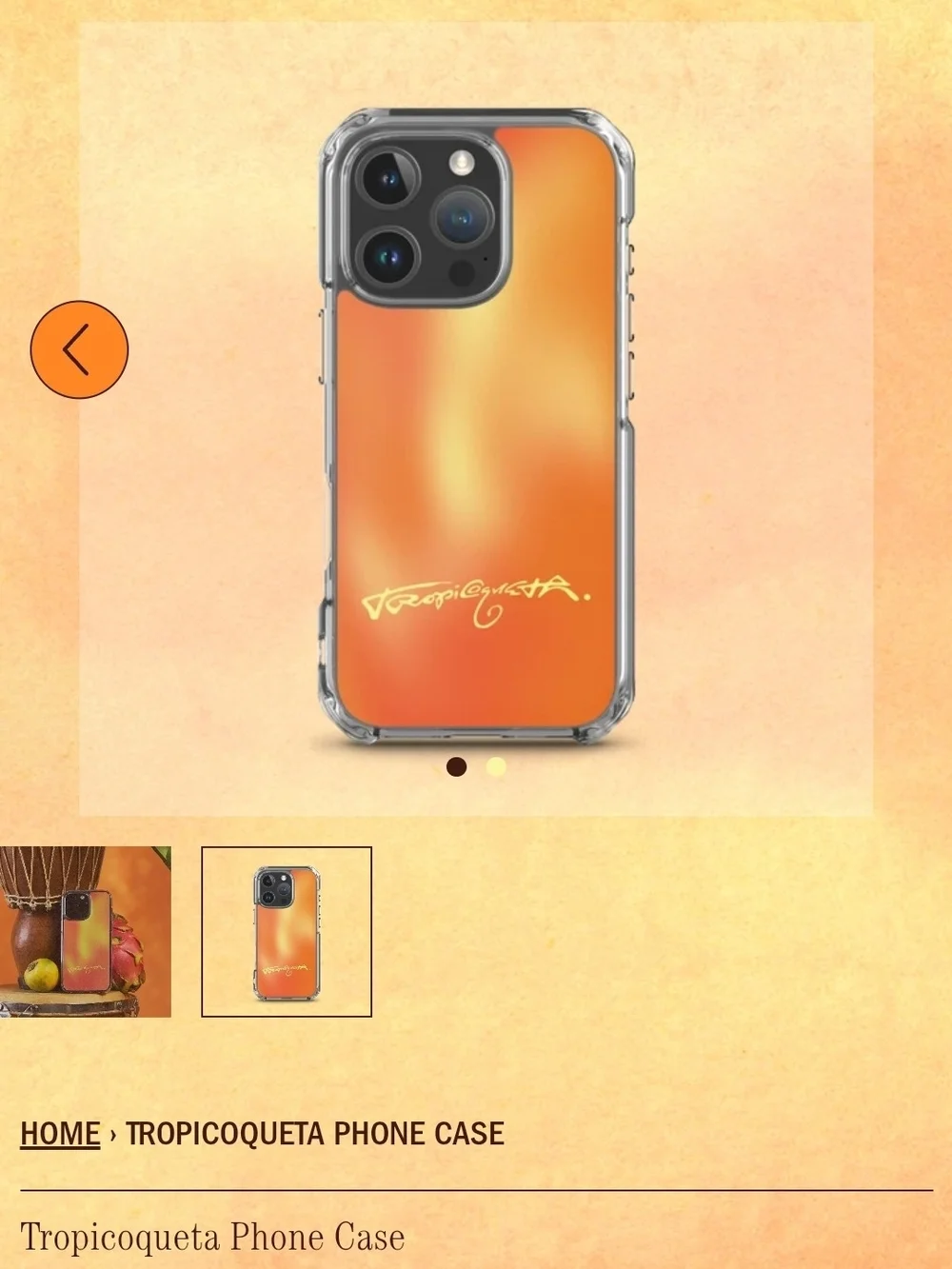 Karol G x MSB Forever iPhone 15 Pro Max 2 Phone Case